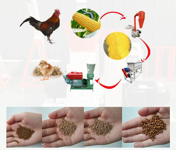 animal feed pellets can be made by the disel flat die feed mill