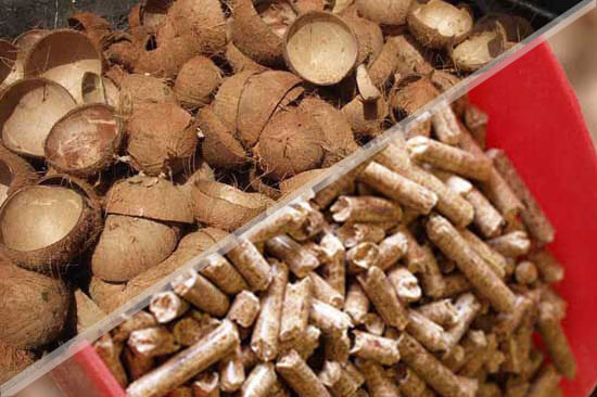 how to produce biomass pellets from coconut shells